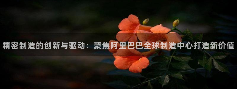 彩神v|：精密制造的创新与驱动：聚焦阿里巴巴全球制造中心打造新价值