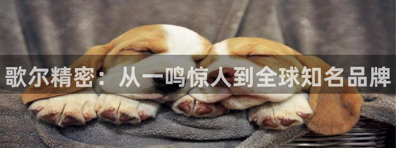 彩神v8手机客户端下载：歌尔精密：从一鸣惊人到全球知名品牌