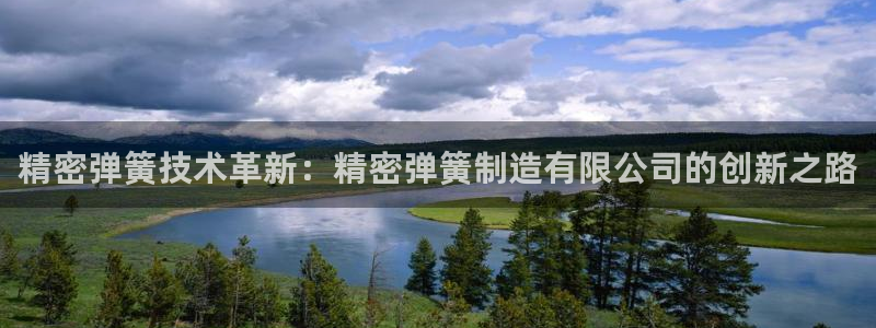 彩神vl官网：精密弹簧技术革新：精密弹簧制造有限公司的创新之路