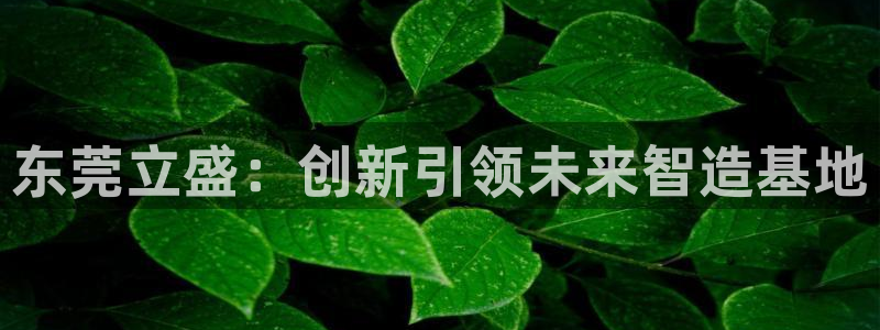 彩神viii是正规平台吗?：东莞立盛：创新引领未来智造基地