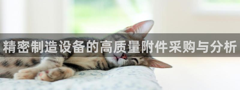 下载彩神通关注金码