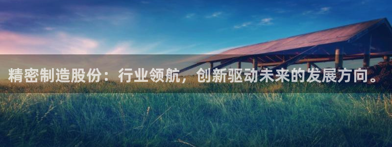 彩神广告有限公司：精密制造股份：行业领航，创新驱动未来的发展方向。