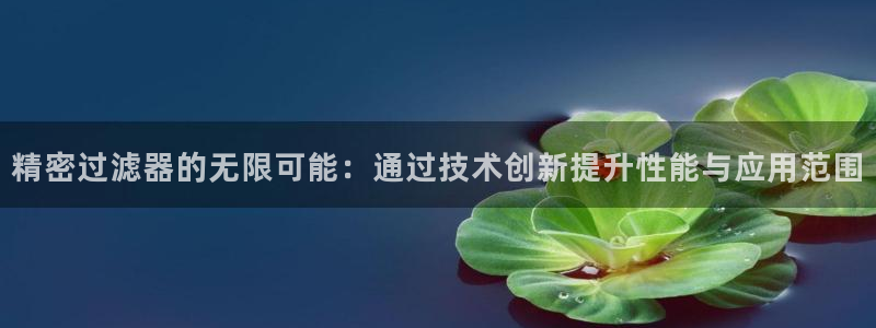 彩神用户登录：精密过滤器的无限可能：通过技术创新提升性能与应用范围