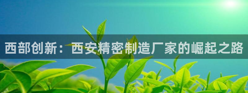 彩神网官网登录：西部创新：西安精密制造厂家的崛起之路