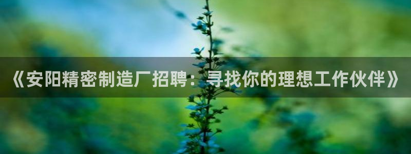 彩神大发是不是人为操作：《安阳精密制造厂招聘：寻找你的理想工作伙伴》