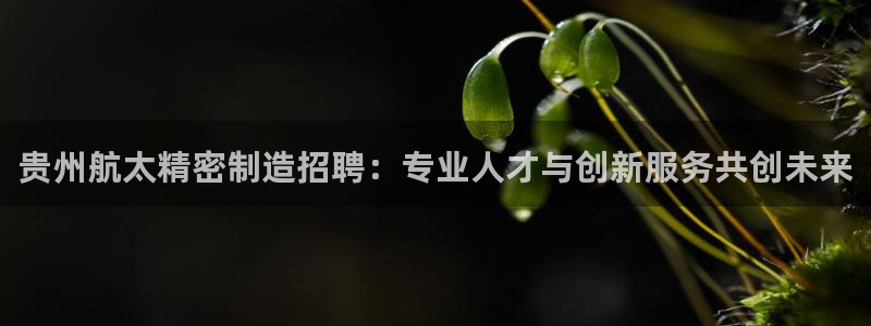 彩神是怎样一个平台