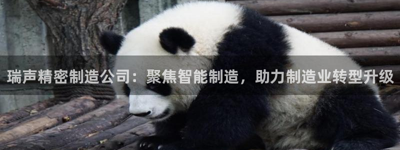 彩神v彩搜狗：瑞声精密制造公司：聚焦智能制造，助力制造业转型升级