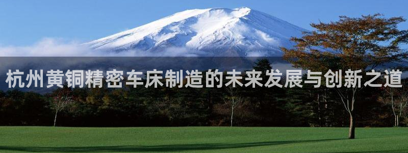 彩神V购彩大厅