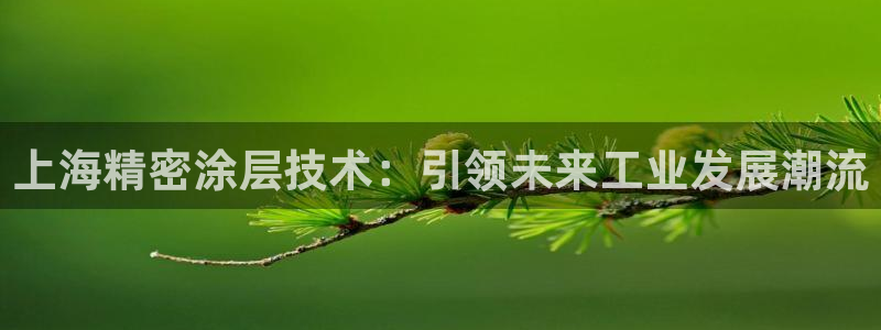 彩神购彩-购彩大厅入口老版：上海精密涂层技术：引领未来工业发展潮流