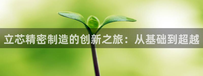 彩神数码科技有限公司