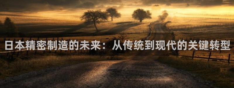 彩神平台之间是什么关系：日本精密制造的未来：从传统到现代的关键转型
