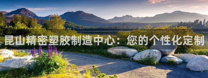 彩神输的钱是赌博还是诈骗：昆山精密塑胶制造中心：您的个性化定制