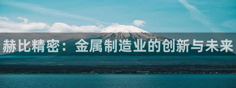 彩神8是正规平台吗：赫比精密：金属制造业的创新与未来
