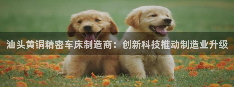 彩神赢的钱是哪里来的啊：汕头黄铜精密车床制造商：创新科技推动制造业升级