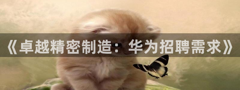 彩神购彩-购彩大厅入口老版：《卓越精密制造：华为招聘需求》