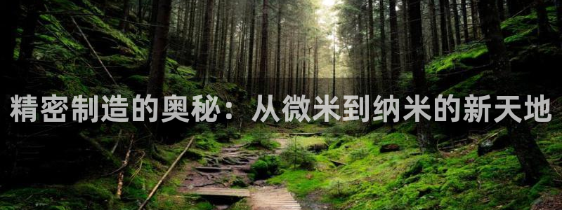 彩神购彩-购彩大厅入口下载：精密制造的奥秘：从微米到纳米的新天地