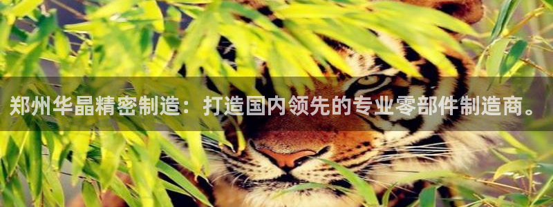 彩神v8是一个什么平台：郑州华晶精密制造：打造国内领先的专业零部件制造商。