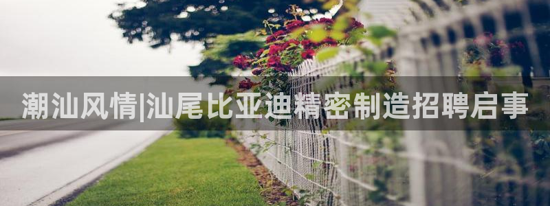 彩神平台注册登录：潮汕风情|汕尾比亚迪精密制造招聘启事