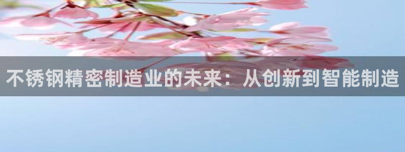 彩神v8官网版：不锈钢精密制造业的未来：从创新到智能制造