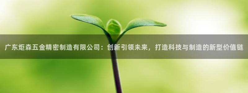 彩神viii是正规平台吗?：广东炬森五金精密制造有限公司：创新引领未来，打造科技与制造的新型价值链