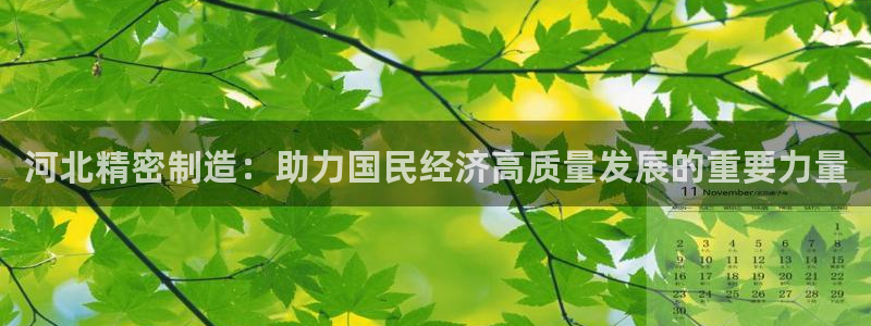 新版彩神v8登录不上去：河北精密制造：助力国民经济高质量发展的重要力量
