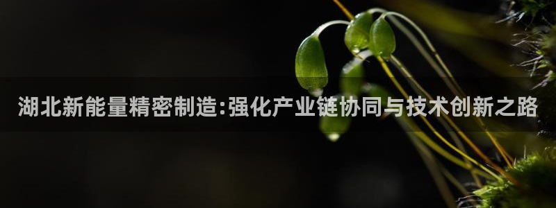 彩神ll能赚钱吗