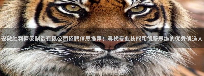 彩神ix官网是哪个公