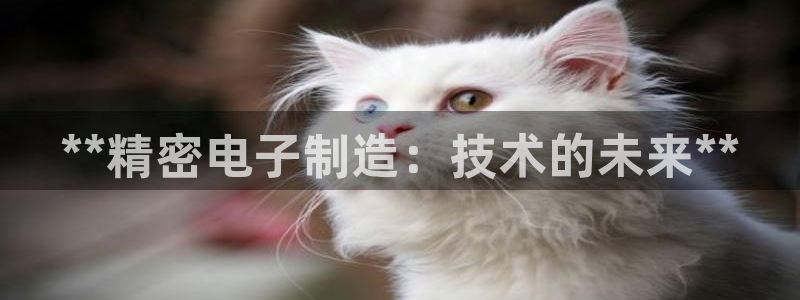 彩神viii是正规平