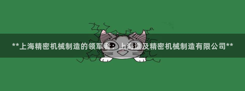 彩神v破解版：**上