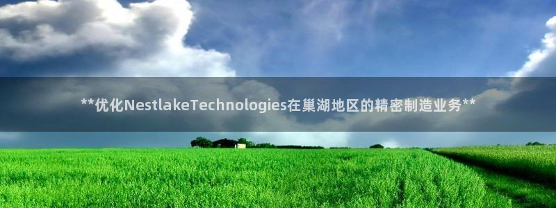 彩神8官网下：**优化NestlakeTechnologies在巢湖地区的精密制造业务**