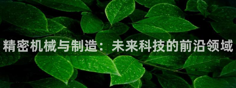 彩神数码科技有限公司：精密机械与制造：未来科技的前沿领域