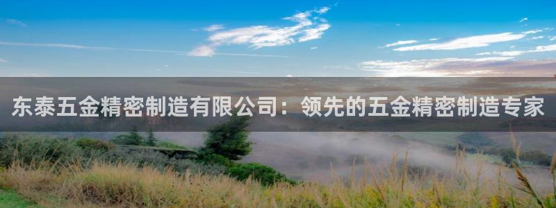 彩神是正规平台吗安全吗：东泰五金精密制造有限公司：领先的五金精密制造专家