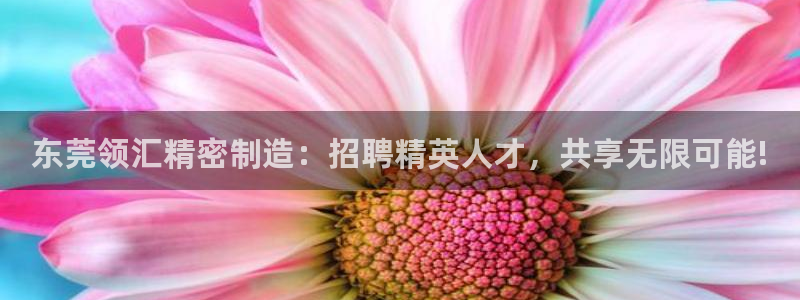 彩神赢的钱是哪里来的啊：东莞领汇精密制造：招聘精英人才，共享无限可能!