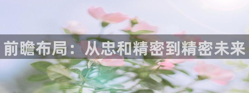 彩神v8几个版本：前瞻布局：从忠和精密到精密未来
