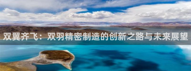 彩神骗局：双翼齐飞：双羽精密制造的创新之路与未来展望