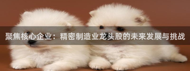 彩神8app官方下载：聚焦核心企业：精密制造业龙头股的未来发展与挑战