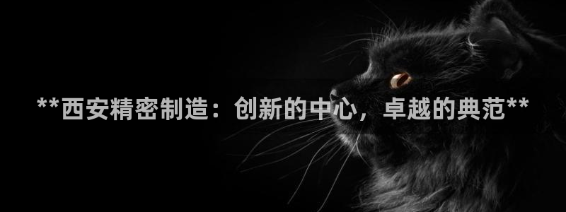 彩神是什么平台的游戏：**西安精密制造：创新的中心，卓越的典范**