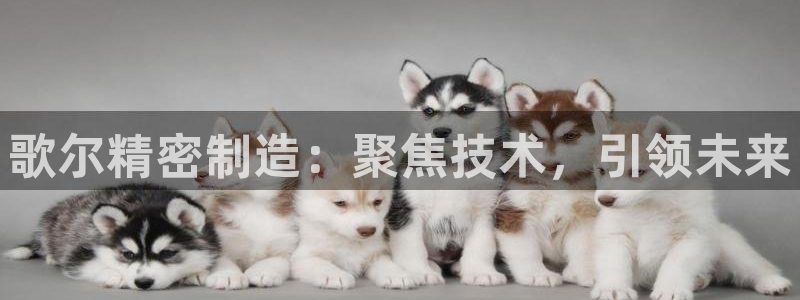 彩神是什么平台的游戏：歌尔精密制造：聚焦技术，引领未来