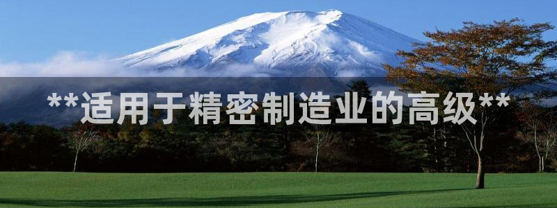 彩神赢钱了吗知乎：**适用于精密制造业的高级**