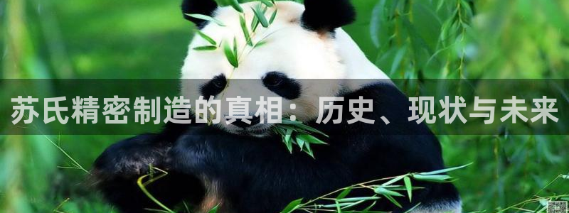 彩神vii官网大赢家：苏氏精密制造的真相：历史、现状与未来