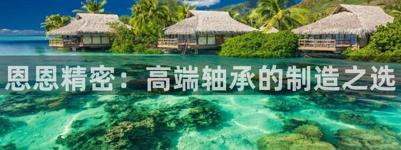 彩神vip购彩：恩恩精密：高端轴承的制造之选