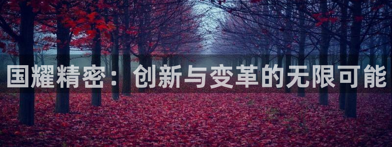 彩神V官网：国耀精密：创新与变革的无限可能