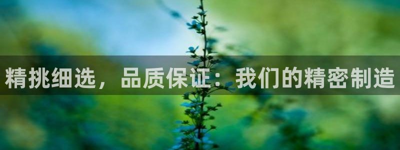 彩神这个平台是真的吗：精挑细选，品质保证：我们的精密制造