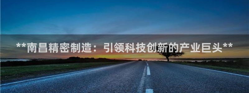 新版彩神v8登录不了：**南昌精密制造：引领科技创新的产业巨头**