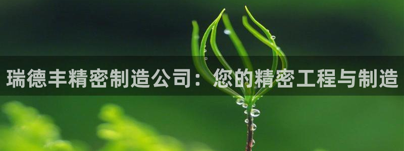 彩神系列平台：瑞德丰精密制造公司：您的精密工程与制造