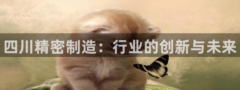 彩神8是正规平台吗安全吗：四川精密制造：行业的创新与未来