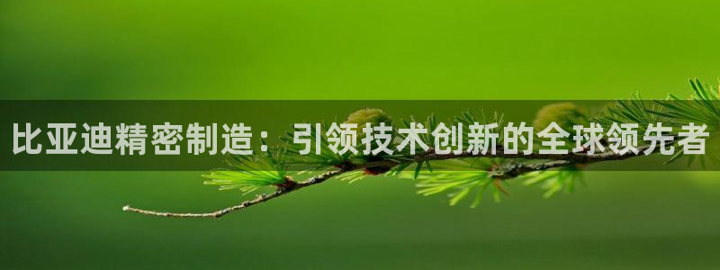 彩神vlll游戏特色：比亚迪精密制造：引领技术创新的全球领先者