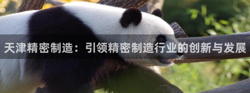 彩神通官网下载：天津精密制造：引领精密制造行业的创新与发展