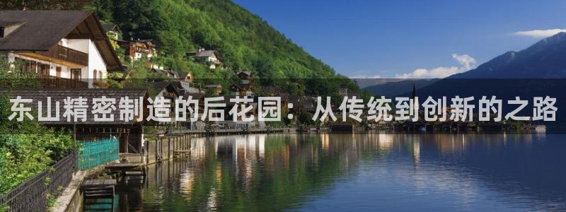 有谁知道彩神争霸的网址：东山精密制造的后花园：从传统到创新的之路