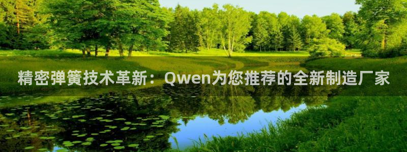彩神旗下有哪些平台：精密弹簧技术革新：Qwen为您推荐的全新制造厂家